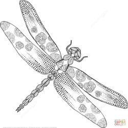Super Free Dragonfly Coloring Pages At Printable Drawing Adult Simple Dragonflies Dragon Para Color Line Lula