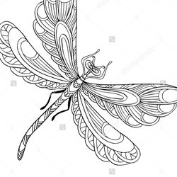Dragonfly Coloring Pages Printable At Free Dragon Print Fly Color Colouring Luxury Line Drawing