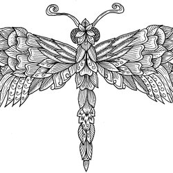 Wizard Dragonfly Colouring Page By On Coloring Drawings