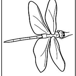 Matchless Free Printable Dragonfly Coloring Pages For Kids Animal Place Template Photo