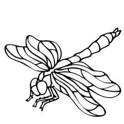 Wonderful Dragonfly Drawing Images At Free Download Coloring Pages Printable Print Dragonflies Simple Outline