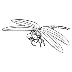 Magnificent Dragonfly Coloring Pages