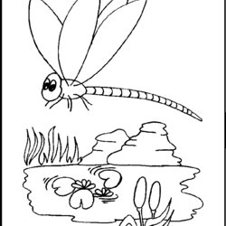 Sublime Free Printable Dragonfly Coloring Pages For Kids Color Template Dragon Fly Colouring Print Templates
