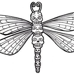 Free Printable Dragonfly Coloring Pages For Kids Animal Place Skull Totem Outline Drawing Line Skeleton Sugar