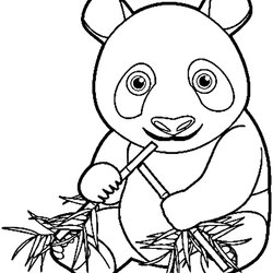 Admirable Get This Panda Coloring Pages Free Pandas Chine Roux