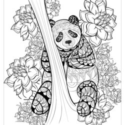 Smashing Panda Printable Coloring Pages Adults By