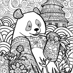 Very Good Panda In China Adult Coloring Pages Adults Chinese Pandas Patterns Bamboo Printable Color Print