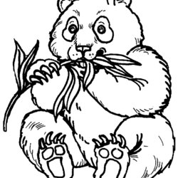 Panda Coloring Pages Best For Kids Print Free