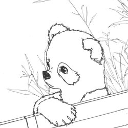 The Highest Quality Free Printable Panda Coloring Pages For Kids Animal Place Cute Baby Red Realistic Pandas