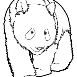 Perfect Free Panda Coloring Pages To Download Pandas Kids Print Funny Printable Children For