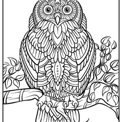 Exceptional Printable Advanced Coloring Pages Adult