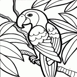 Fantastic Cool Coloring Pages Best Adults Designs Views Use