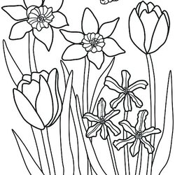 Marvelous Spring Flowers Coloring Pages Printable At Free Color Kids Flower Tulips Sheets Print Parents