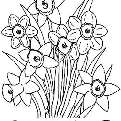 Capital Spring Flower Coloring Pages To Download And Print For Free Color Kids Flowers Daffodil Springtime