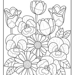 High Quality Coloring Page Spring Flowers Best Free File Teens Woo Jr Adult