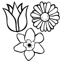Smashing Spring Flower Coloring Page For Kids Color Luna Flowers Pages Drawing Wild Small Pretty Printable
