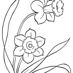 Brilliant Spring Flower Coloring Page Color Pages Flowers Printable Colouring Sheets Poppy Print Template