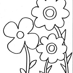 Magnificent Spring Flowers Coloring Page For Kids Free Printable No You Need Pages Flower Sheets Preschool