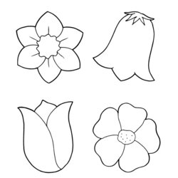 Perfect Spring Flower Coloring Pages Page Flowers Printable Color Colouring Print