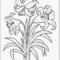 Printable Spring Flower Coloring Pages Home Realistic Comments