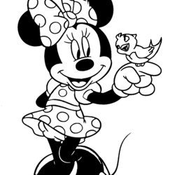 Splendid Minnie Mouse Coloring Pages Disney Book Printable Mini Animal Bird Friends