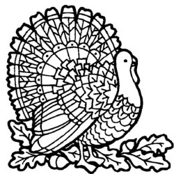 Thanksgiving Turkey Coloring Pages To Print For Kids Printable Color Sheets Sheet Fun Clip Kid Card Pattern