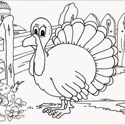 Wizard Coloring Pages Turkey Free And Printable Farm Thanksgiving Kids Sketches Lots Different Than Fun Also