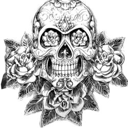 Adult Coloring Pages Skulls Home Skull Tattoo Skeleton Adults Popular