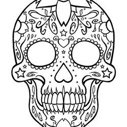 Peerless Free Skull Drawing Images Download Library Coloring Pages
