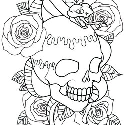 The Highest Standard Free Printable Skull Coloring Pages