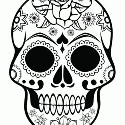 Skull Coloring Pages For Adults Home Skulls Popular Print Kids