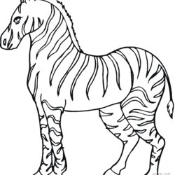 Perfect Kids Coloring Pages Zebra Print Color Craft Printable