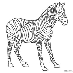 Free Printable Zebra Coloring Pages For Kids Page