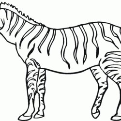 The Highest Quality Free Printable Zebra Coloring Pages For Kids