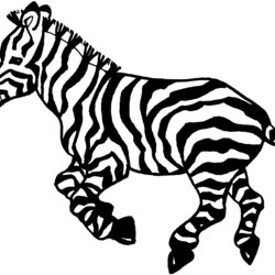 Wizard Free Zebra Coloring Pages Zebras Cartoon Kids Clip Animated Running Animals Animal Printable Print
