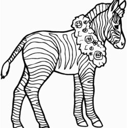 Excellent Free Printable Zebra Coloring Pages For Kids Color Realistic Animals Print Colouring Cute Book