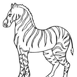 Out Of This World Free Printable Zebra Coloring Pages For Kids Print Popular Page Pictures