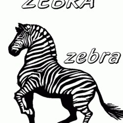 Admirable Zebra Coloring Pages