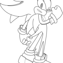 Splendid Shadow Coloring Pages At Free Printable Hedgehog Sonic Super Color Drawing Print Drawings Based