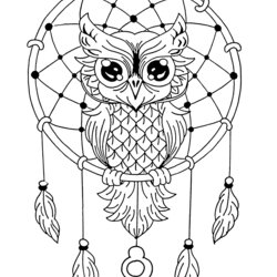 Sublime Owl Coloring Pages For Children Owls Kids Simple