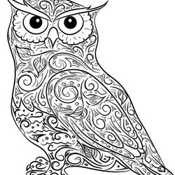 Perfect Difficult Owl Coloring Page For Adults Pages Bird