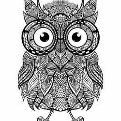 Excellent Owl Coloring Books For Adults In Pages Animal Mandala Mandalas Intricate Owls Cars