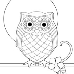 Cool Owl Coloring Pages For Adults Colouring