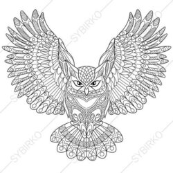 Legit Owl Coloring Page Animal Book Pages For Adults Adult