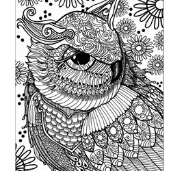 Best Images About Coloring Owls On Adult Pages Adults Owl Colouring Sheets Sharpies Book For