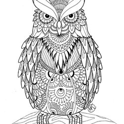 Abstract Coloring Pages Detailed Online Owl Adults Mandala Owls Adult Print Animal Books Printable Colouring