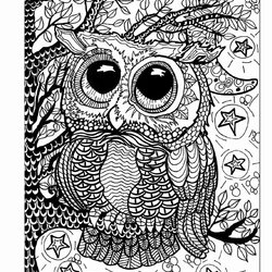 Splendid Owl Coloring Book For Adults Fresh Best Owls Images On Animal