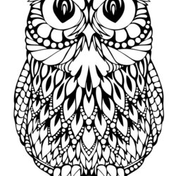 Superlative Owl Coloring Pages For Adults Free Detailed Page Printable