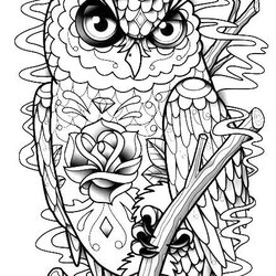 Eminent Owl Coloring Page Pages For Adults And Freebies Adult Printable Owls Mandala Cool Book Print Animal