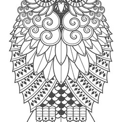Wonderful Best Images About Owl Coloring Pages For Adults On Tattoo Tattoos Stencil Printable Drawing Cool
